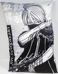 타이토 비주얼 아트 쿠션 도원 암귀 황후자키 신