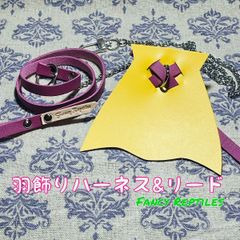 フトアゴヒゲトカゲ用羽飾りハーネス&リード マント