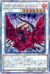 2025年最新】20thシークレットレア スペシャルパックの人気