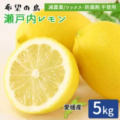 産地直送 瀬戸内レモン 5kg 家庭用 残留農薬ゼロ レモン 瀬戸内海 離島 檸檬 れもん 5キロ グリーンレモン イエローレモン 愛媛県 中島産 希望の島産 減農薬 ノーワックス 防腐剤不使用 サイズおまかせ 宅急便のサムネイル