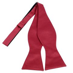 希少 美品 COMME des GARCONS HOMME PLUS 蝶ネクタイ - メルカリ
