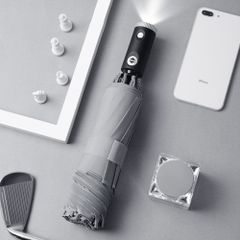 Item thumbnail for item 5ca1cd9e-c6c4-443e-8933-9082ac7e625d