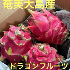 奄美大島産　ドラゴンフルーツ　赤