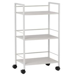 Secchuu Steel Rack, 3.6kg Weight Capacity, 45kg Total Weight Capacity, 43cm Wide x 30cm Deep x 76cm High, Storage Cart, Printer Stand, PS5 Horizontal Stand, Side Storage, Casters with Locking Stops, 15kg Weight Capacity per Shelf (Gray, 3 Tiers)