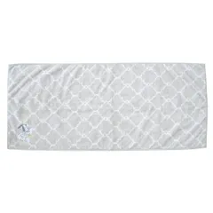 【新品】 ふわさらＦ／Ｔ　遊び疲れた二人・ＧＹ わちふぃーるど 猫のダヤン 941730 フェイスタオル かわいい おしゃれ シンプル 