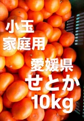 2025年最新】せとか みかん 10kgの人気アイテム - メルカリ