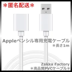 ＊アップルペンシル Apple pencil 充電 ケーブル 第一世代用 / Appleペンシル アップルPencil アップル ペンシル  第1世代用 充電ケーブル 充電器