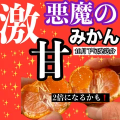 2025年最新】カルピスみかんの人気アイテム - メルカリ