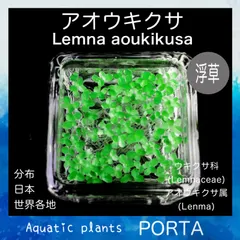 アオウキクサ 1カップ程度 水草 浮き草 - メルカリ