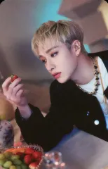 【中古】コレクションカード(男性) Stray Kids/Bang Chan(バンチャン)/「STRAY KIDS × SKZOO POPUP STORE 『THE VICTORY』」ランダムフォトカード