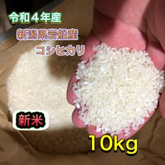 【新米】R4年産　新潟県産　岩船産　コシヒカリ　10kg