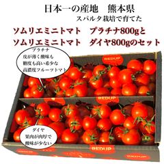 ソムリエミニトマト　プラチナ800gとダイヤ800gのセット