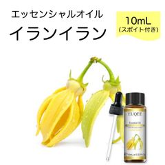 イランイラン Cananga odorata スポイト付 10ml EUQEE 高品質 PREMIUM GRADE オリエンタル エキゾチック