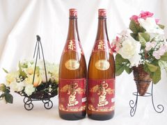 忠孝 30度633ml ビール瓶入り泡盛 訳あり品2本 - メルカリ