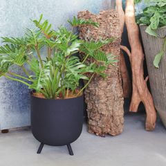 送料無料】【Yamatei】【KONTON】ファイ マウントプランター 2色から