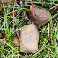 ガーデンオブジェ フェイクストーン 石風 置物 鍵を隠せる 樹脂 庭 ガーデンオーナメント ガーデンオーナメント ガーデニング 雑貨 ガーデン雑貨 ガーデンインテリア ガーデン インテリア 庭の装飾 お洒落 おしゃれ 8-14