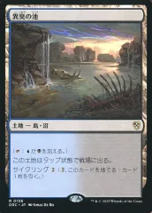 【中古】マジックザギャザリング 0156[R]：【DRC】異臭の池/Fetid Pools