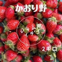 しろあずき様ご相談【農家直送・お買得便】とてもやわらか甘熟
