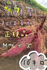 正規品　紅はるか　Mサイズ　土付き10キロ　茨城県産　さつま芋　お芋