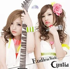 cyntia シンティア グッズ一式 31点セット 未開封未使用品