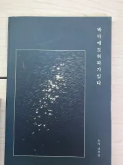 フェズ ソタ 落ち込んだ バム コレクティブル 海でも 肺パッド ある