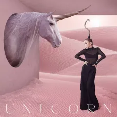2025年最新】倖田來未UNICORNの人気アイテム - メルカリ