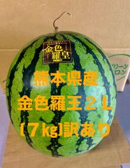 【産地直送・金色すいか・訳あり・６／９以降発送可】熊本県産大玉スイカ　金色羅皇　２L　７ｋｇ　訳あり　優品　自宅用