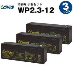 WP2.3-12 【3個セット】 （産業用鉛蓄電池） 【サイクルバッテリー】 LONG