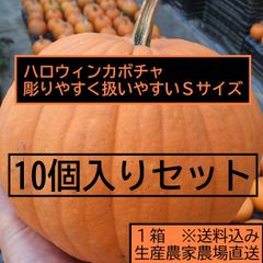ハロウィン ジャックオーランタン用かぼちゃ １0個１箱 Sサイズ1kg台 カボチャ専門農家農場直送