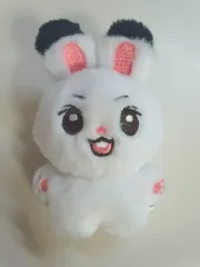 &team ニコラス　ぬいぐるみ　マスター　缶バッジ　新品未使用 2398663803.jpg?1728643416