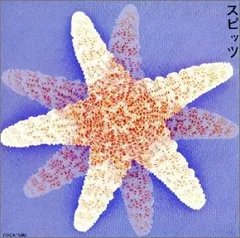 (CD)スピッツ／スピッツ