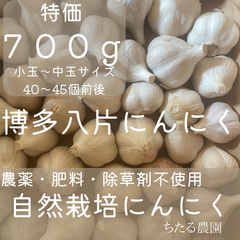 自然栽培（農薬肥料除草剤等不使用）博多八片にんにく お得な 700グラム