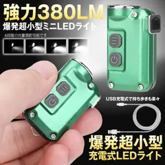 爆光 小型 LED ライト 380LM キーホルダー ミニ キーチェーン 4段階 調光 USB 充電 アウトドア キャンプ 散歩 ウォーキング 災害 便利 カバン ベルト RAIKEY 送料無料 ネコポス