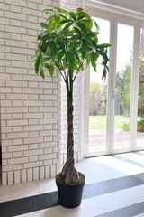 人工観葉植物 約160cm 位 ツイスト幹 - メルカリ