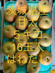 🔅終盤🔅　梨　茨城県産　梨　甘太　５キロ  16玉入　はねだし
