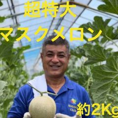 マスクメロン　秀品2玉　原種直系 5ｋｇ前後大玉