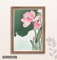 海外で人気の古邨　*蓮の花 /小原古邨　土佐純楮和紙 　A4フレーム入り＊ポストカード付き　送料無料