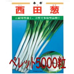 カネコ種苗　西田葱　ペレット５０００粒
