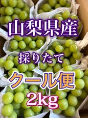 A32 山梨産　露地桃　6〜8個　正規品　朝採り産地直送  2キロ箱入り