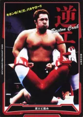 2025年最新】キングオブプロレスリングの人気アイテム - メルカリ