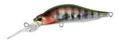 デュオ レアリス ロザンテシャッド57MR ADA3058 野ギル