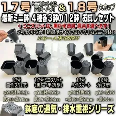 ミニプラ鉢専門店＊2号より小さいスリット鉢お試しセット＊1.7号四角鉢＋1.7号ミニスリット(黒・半透明)＋1.7号八角ミニ＋1.8号カップ型：4種各3鉢⇒計12鉢※1回限＊多肉塊根植物コーデックス・アガベ・ハオルチア・パキポディウム実生＠フラワーショップ江口のサムネイル