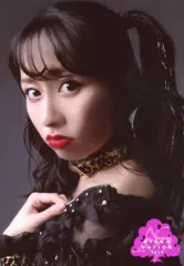 佐々木彩夏　生写真　AYAKANATION　2016～2022　301枚 中古】生写真(女性) ももいろクローバーZ/佐々木彩夏/全身