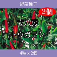 野菜種子 ECF 立八房トウガラシ 4粒 x 2個