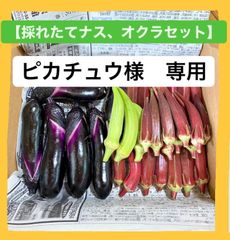 ピカチュウ様　専用ページ