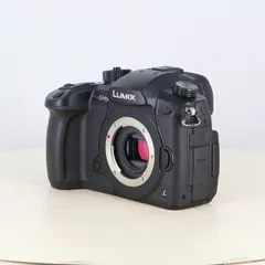 【美品】Panasonic LUMIX GH5 ボディ本体＋SDカード2枚付き 美品】Panasonic LUMIX GH5 ボディ本体＋SDカード2枚付き
