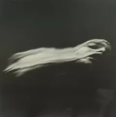 2025年最新】dir en grey 落ちた事のある空の人気アイテム