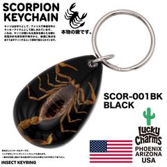 USA ARIZONA SCORPION DROP KEYCHAIN 蠍 サソリ スコーピオン お守り キーホルダー バイカー 幸運 : SCOR-001BK