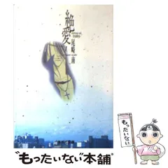 尾崎南先生　１９９８年　マーガレット付録　折り込みポスター　１枚 尾崎南先生 1998年 マーガレット付録 折り込みポスター 1枚