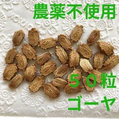 【農薬不使用】ゴーヤの種 夏バテ予防 夏野菜の種